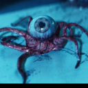 conven1ent#6602's avatar