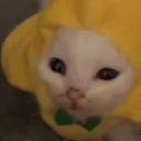 Banani's Discord avatar
