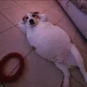 doxuco