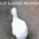 ✧˖°. 𝓢𝓲𝓵𝓵𝔂 𝓖𝓸𝓸𝓼𝓮 ꨄ 🪿's Discord avatar