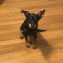 ummmmm9274747's avatar