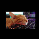 avatar NAS cash / XAUUSD Trader