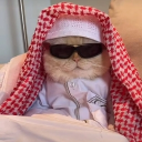 salmanh_h_