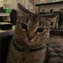 numbnyx