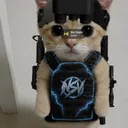 cyivl