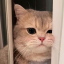 avatar Akhtar Raxa ⚡