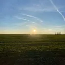 no_need_to