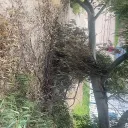 gamerroblox1_95311 avatar