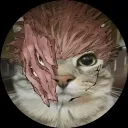 busy_quail_16722 avatar