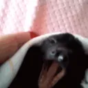 the_bibiexz_18297 avatar