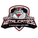 metalicat206