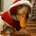 hydetommy2_77884