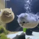 _squishhyy_