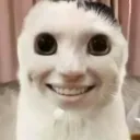 fwemz avatar