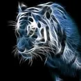 dark_lol0352