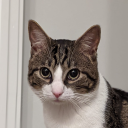 varunc95#5640's avatar