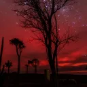 wrath_of_gods1 avatar