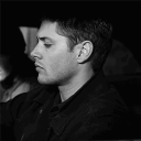 avatar 𝐃𝐫𝐞𝐚𝐦