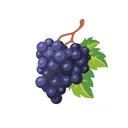 gm_grape