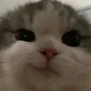 pfp