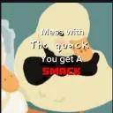 kingducky1st avatar