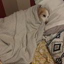 2am