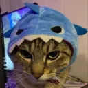 heneesi