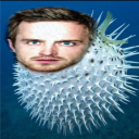 avatar sashmero