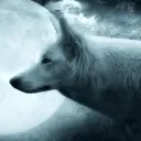 awolfspi_49112