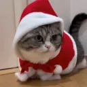 fdosopfadof