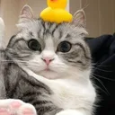 m9rksyyy