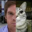 gojo._537_77967 avatar