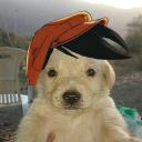 https://cdn.discordapp.com/avatars/1260532816878243920/821ad0faa6c6181d1e2bd99d9021280a.jpg?size=128