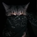 emiliano053385 avatar