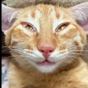 Аватар original_bogdan02_71124