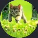 saucz_