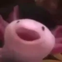 majteu