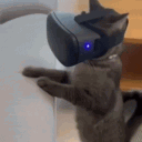 avatar angor