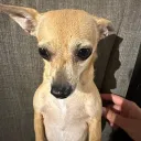 explore_warmth avatar