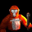 campfire.onvr_offical