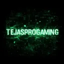 tejasprogaming1713