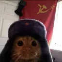 notrealbugg