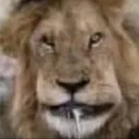 Аватар geniullll