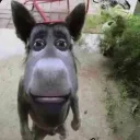 santiwgochillon3 avatar