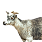 jetuilnousvousils___