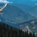 yippeyatta