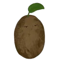 .smoolio