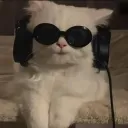spyzerxop