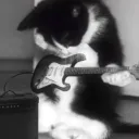 alejandro023853 avatar