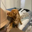 Аватар fifirka_123_04114